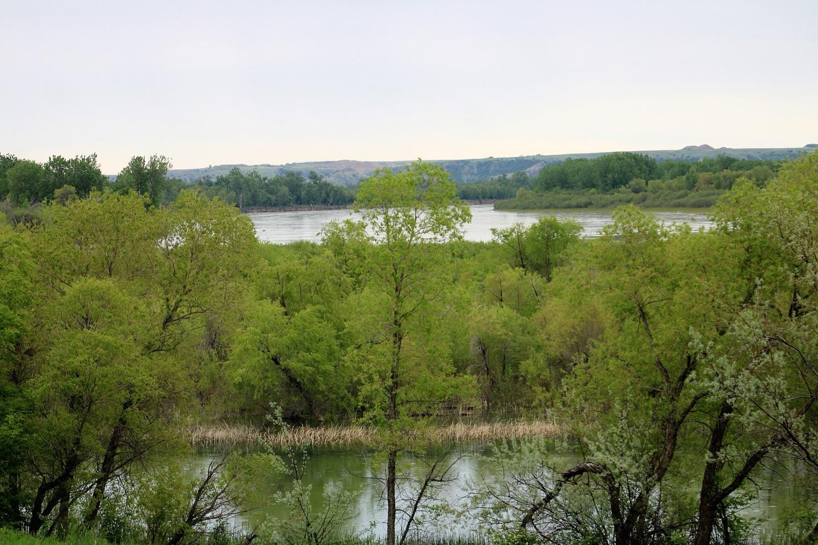 The Missouri and Yellowstone rivers meeting near Williston, Williams County, North Dakota