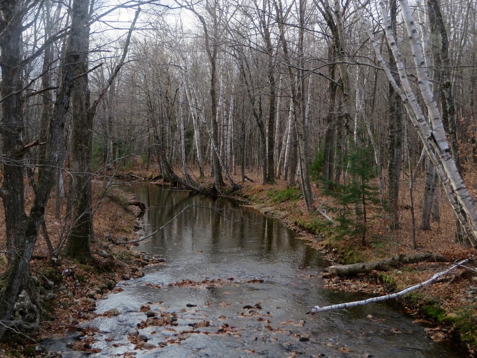 The Cold River in the valley below the Deer Hill mineral site, Chatham, New Hampshire