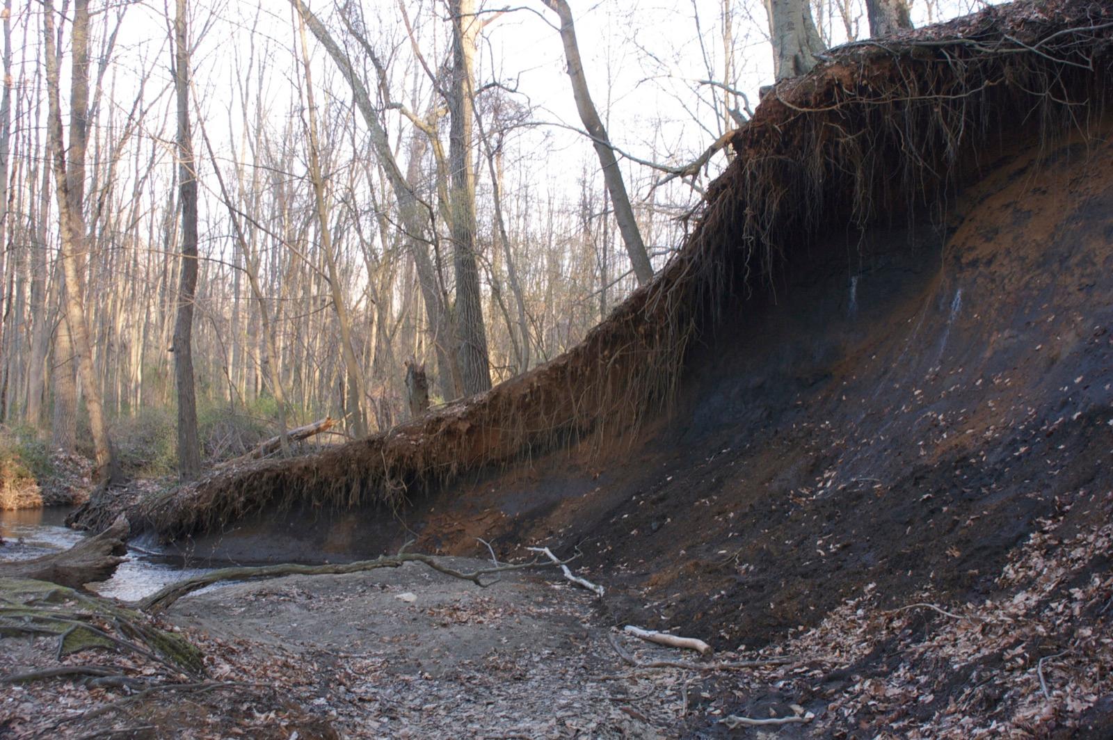 The Poricy Brook stream bed at Poricy Park fossil beds in Middletown, Monmouth County, New Jersey