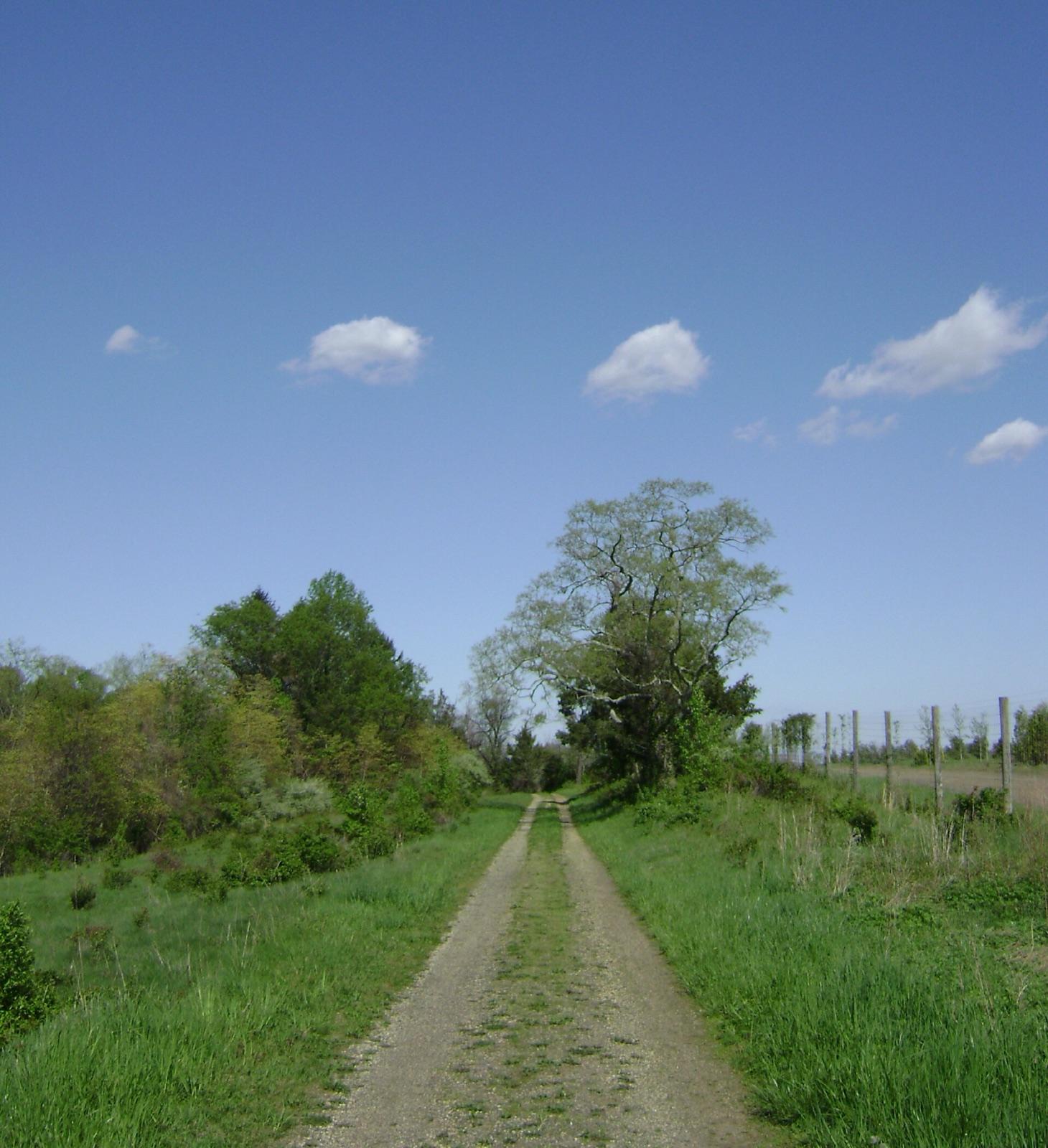 The Steeplechase Trail in the Ramanessin section of Holmdel Park, Monmouth County, New Jersey