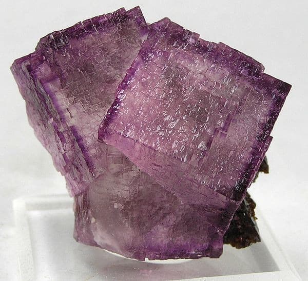 Representative purple fluorite, the mineral that fills vugs in the Lockport Dolostone, New York