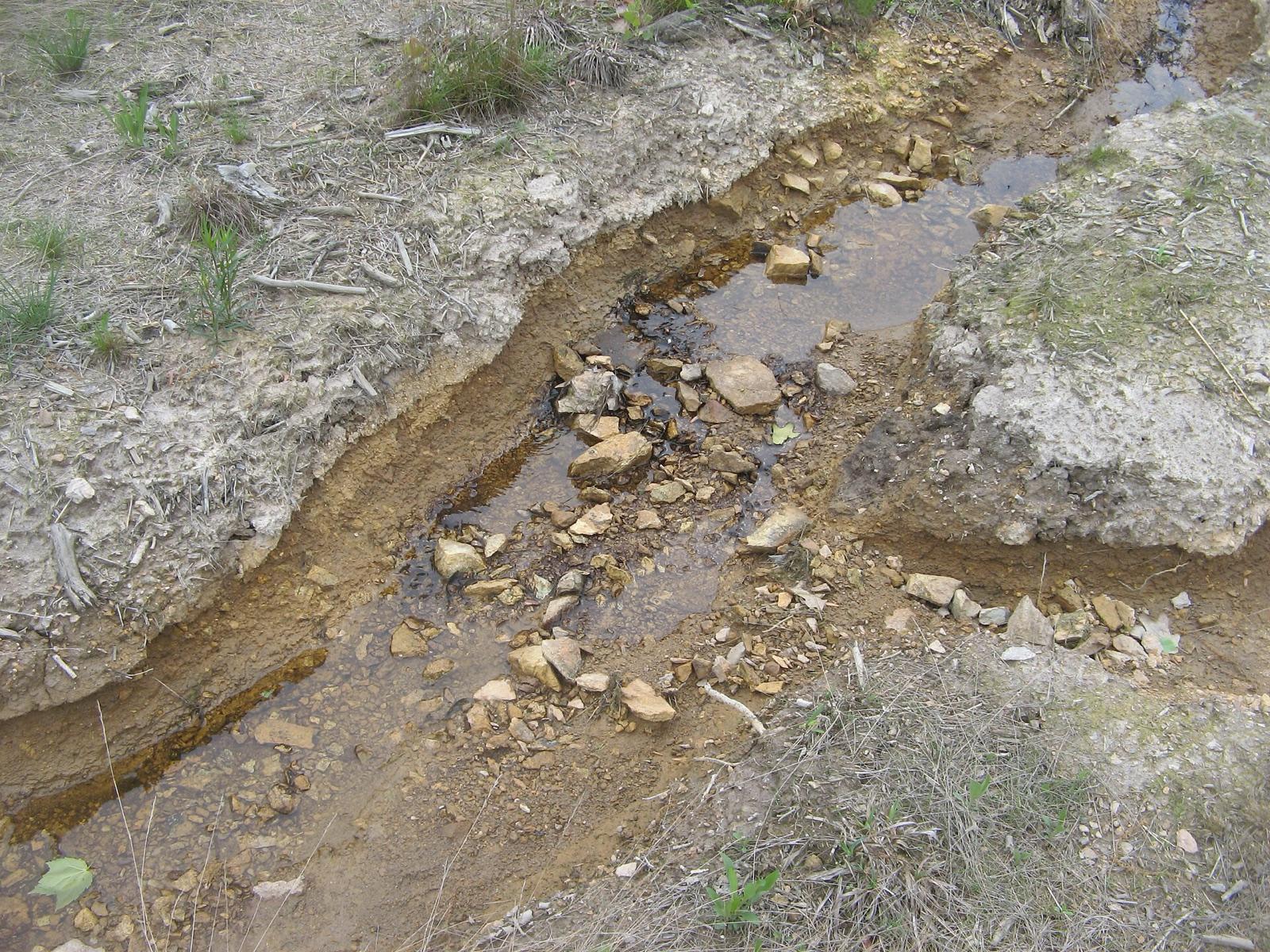 A serpentine barrens streambed in the Pennsylvania State Line serpentine district, the same barrens habitat as Nottingham County Park, southern Chester County, Pennsylvania