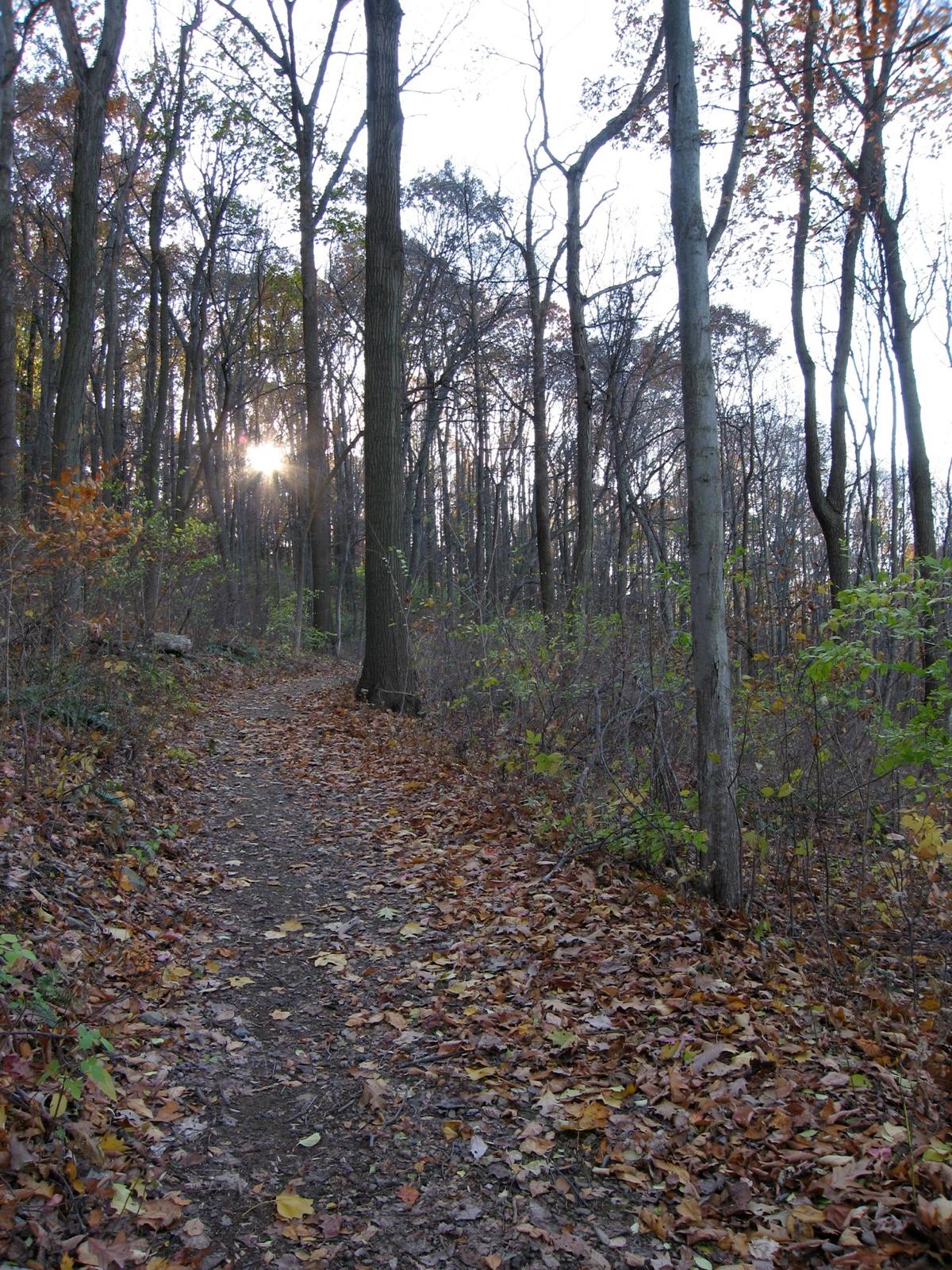 A wooded trail in Nolde Forest, Cumru Township near Reading, Berks County, Pennsylvania