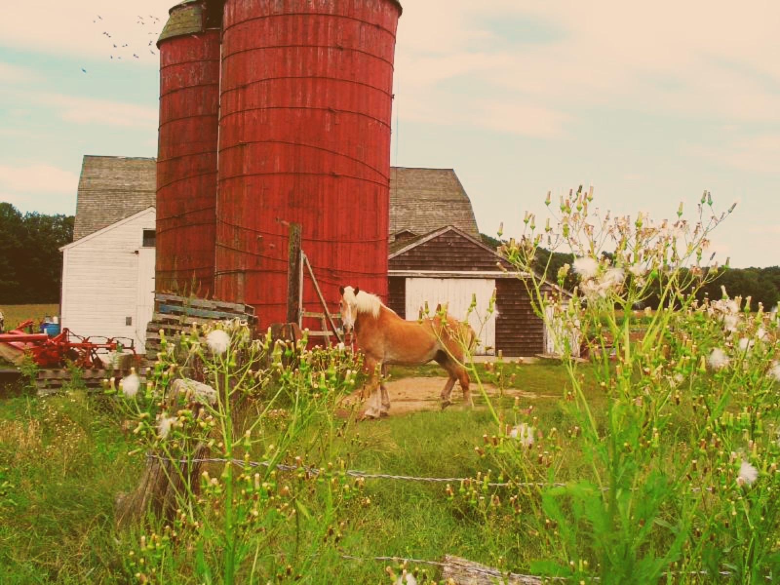 Dame Farm at Snake Den State Park in Johnston, Rhode Island, part of the rural Johnston uplands where amethyst-bearing outcrops occur.