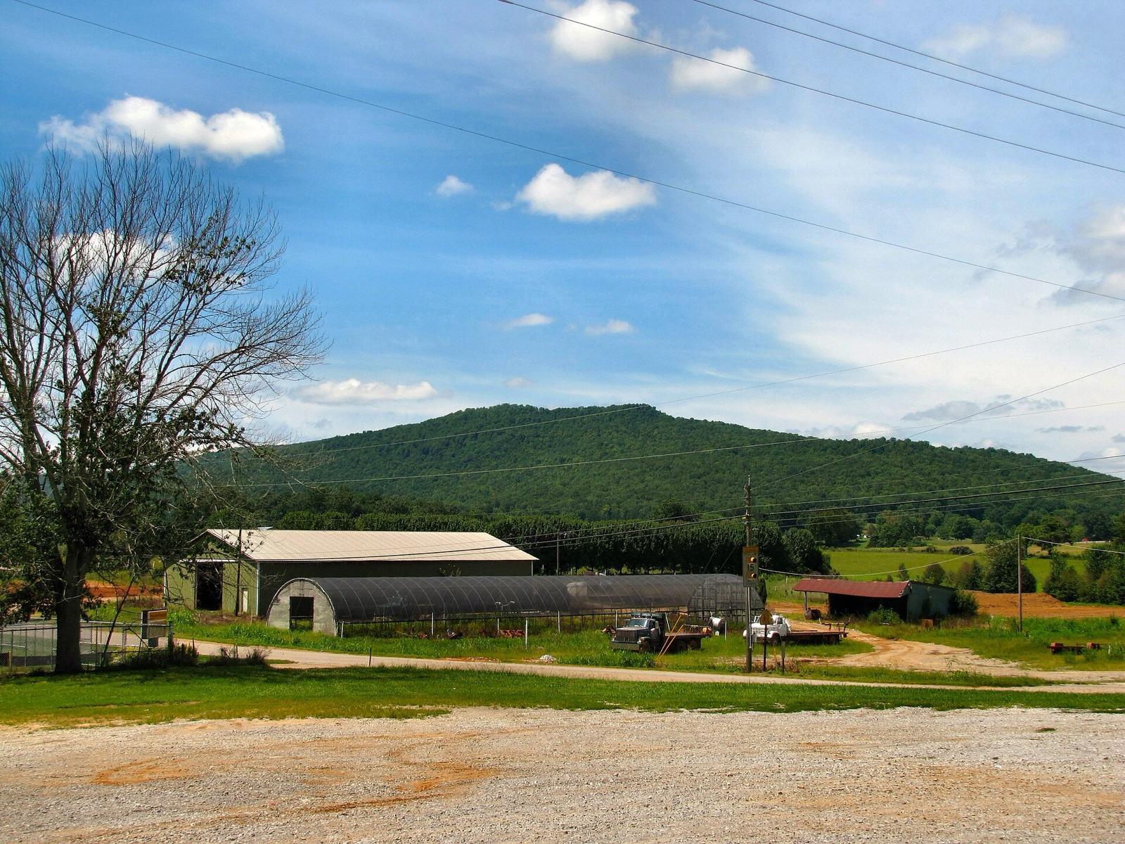 Farmland with Ben Lomond Mountain rising behind, Warren County, Tennessee
