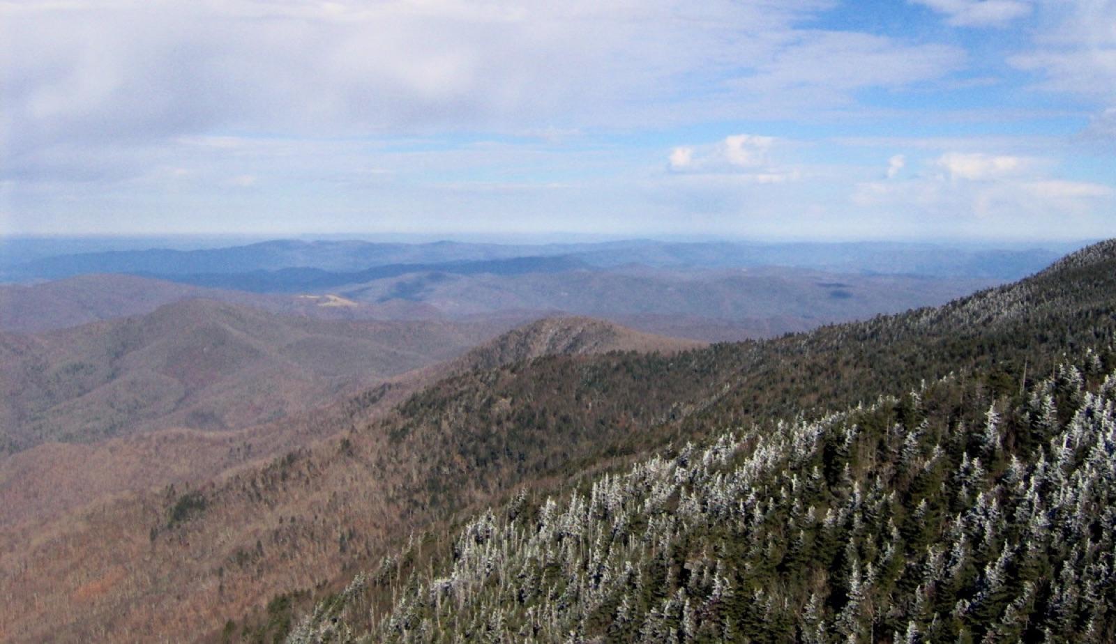 The forested north slope of Roan Mountain on the Tennessee-North Carolina line