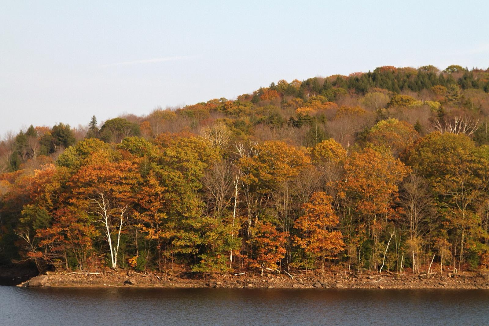 The rocky shore of Harriman Reservoir at Whitingham, near the Adams Brook serpentine and agate locality, Windham County, Vermont.