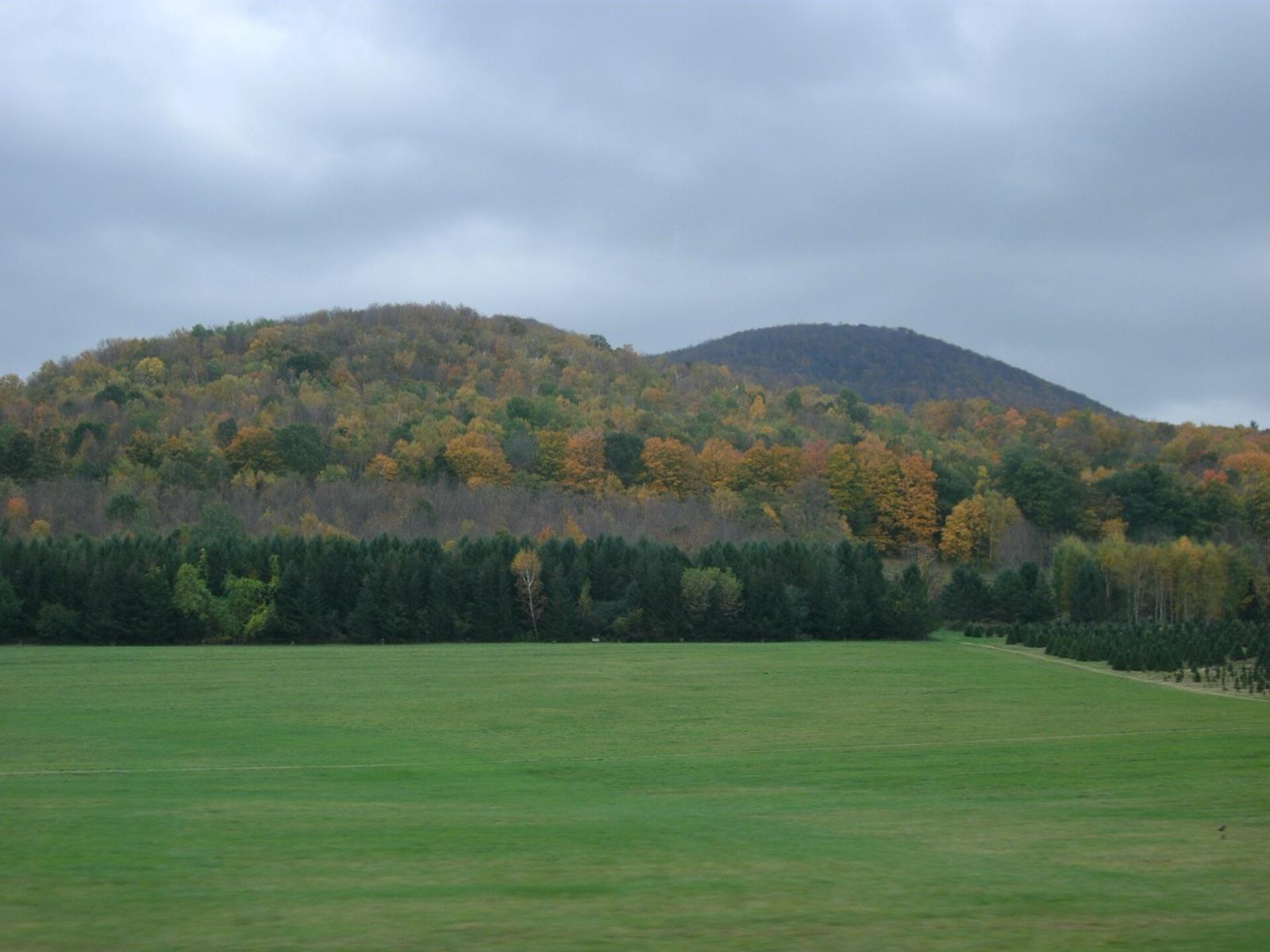 The Green Mountains east of Bennington along the Route 9 corridor, where a road-cut yields blue quartz, Bennington County, Vermont.