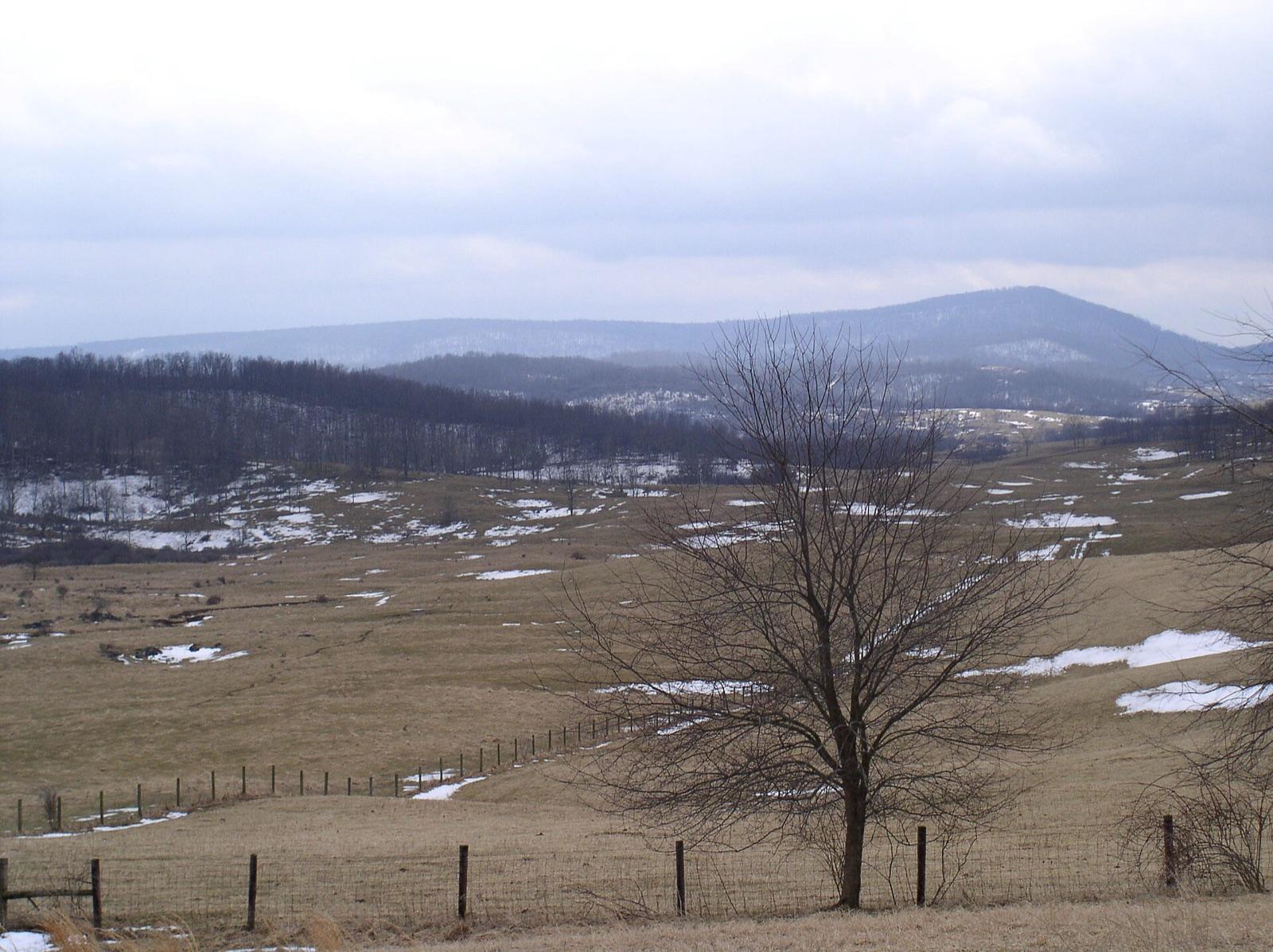 Karst limestone pastureland in Greenbrier County, West Virginia, the setting of the state-gem silicified coral.