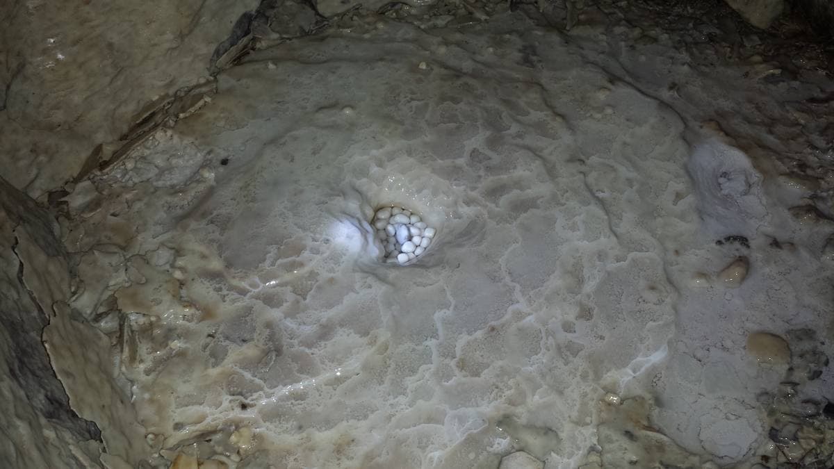 Cave Pearls gemstone