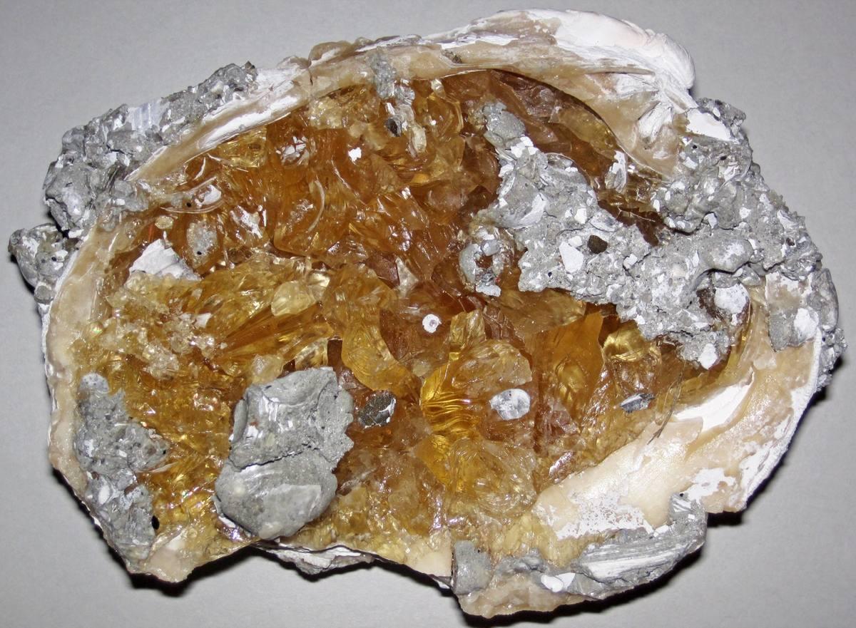 Clam Geode fossil