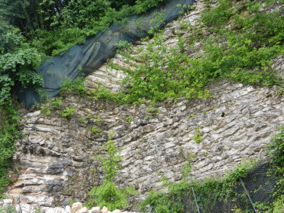 Limestone sedimentary