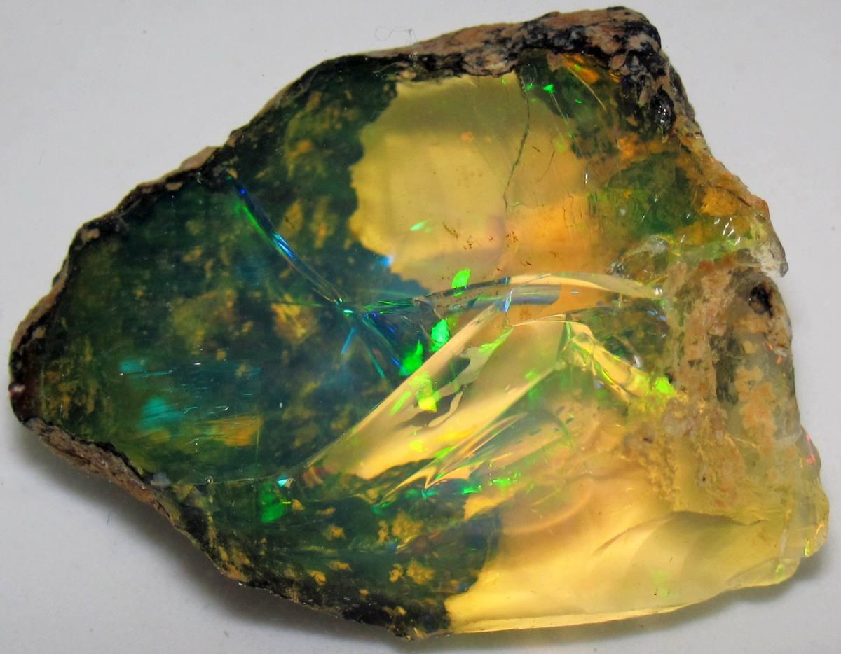 Nodules Filled With Opal fossil
