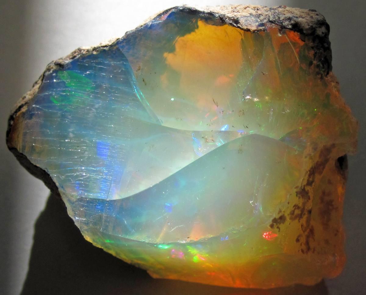 Nodules Filled With Opal fossil