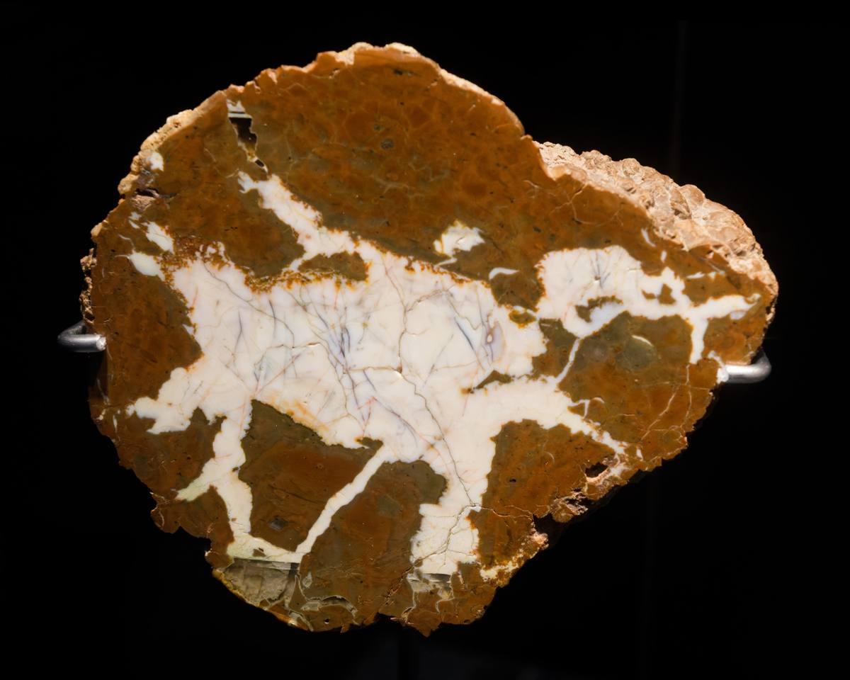 Owyhee Thunderegg gemstone