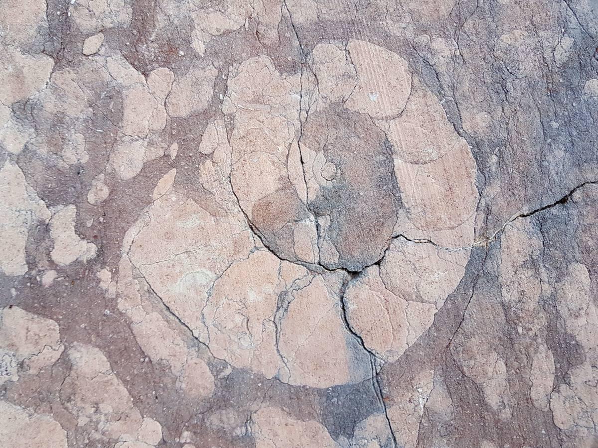 Red Marble