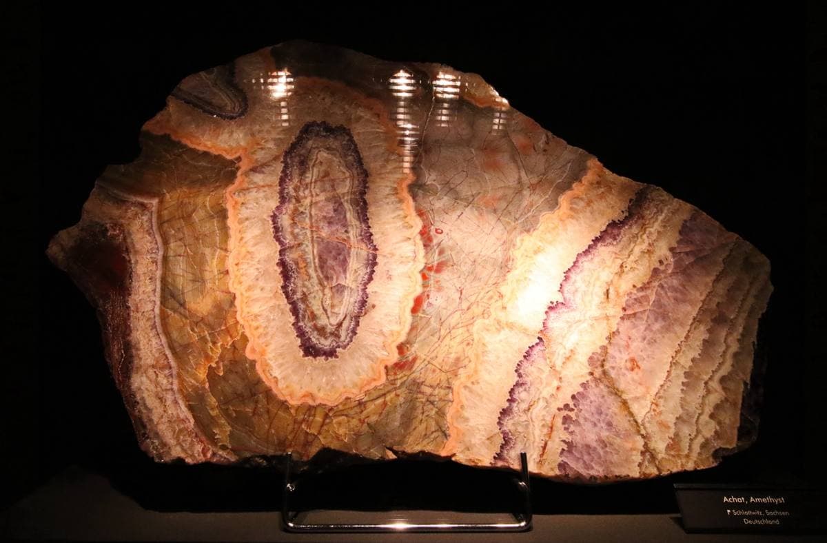 Silicified Agate fossil