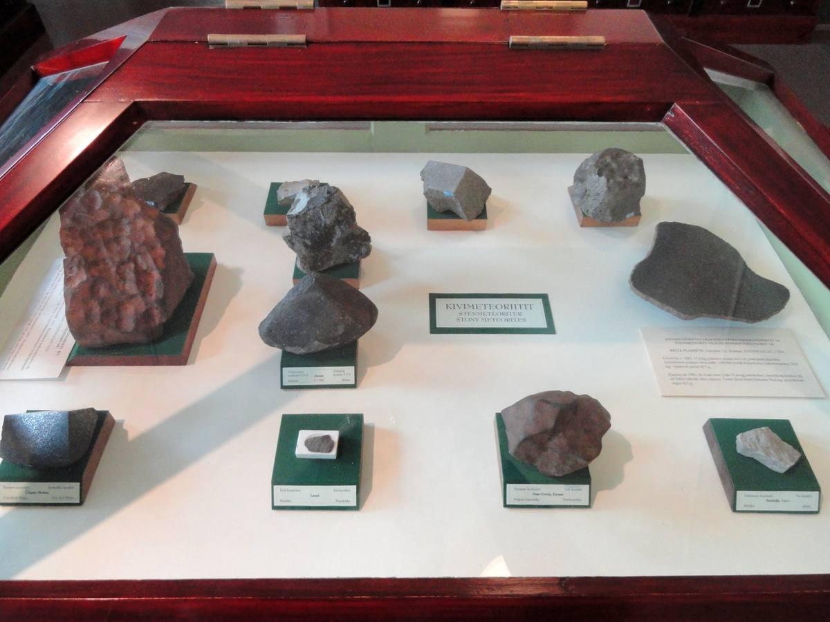 Stony Meteorite fossil