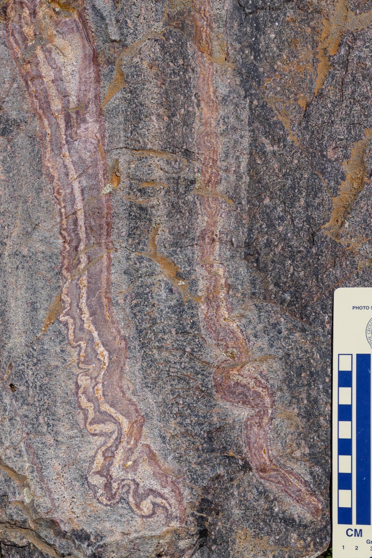 Wonderstone Rhyolite igneous