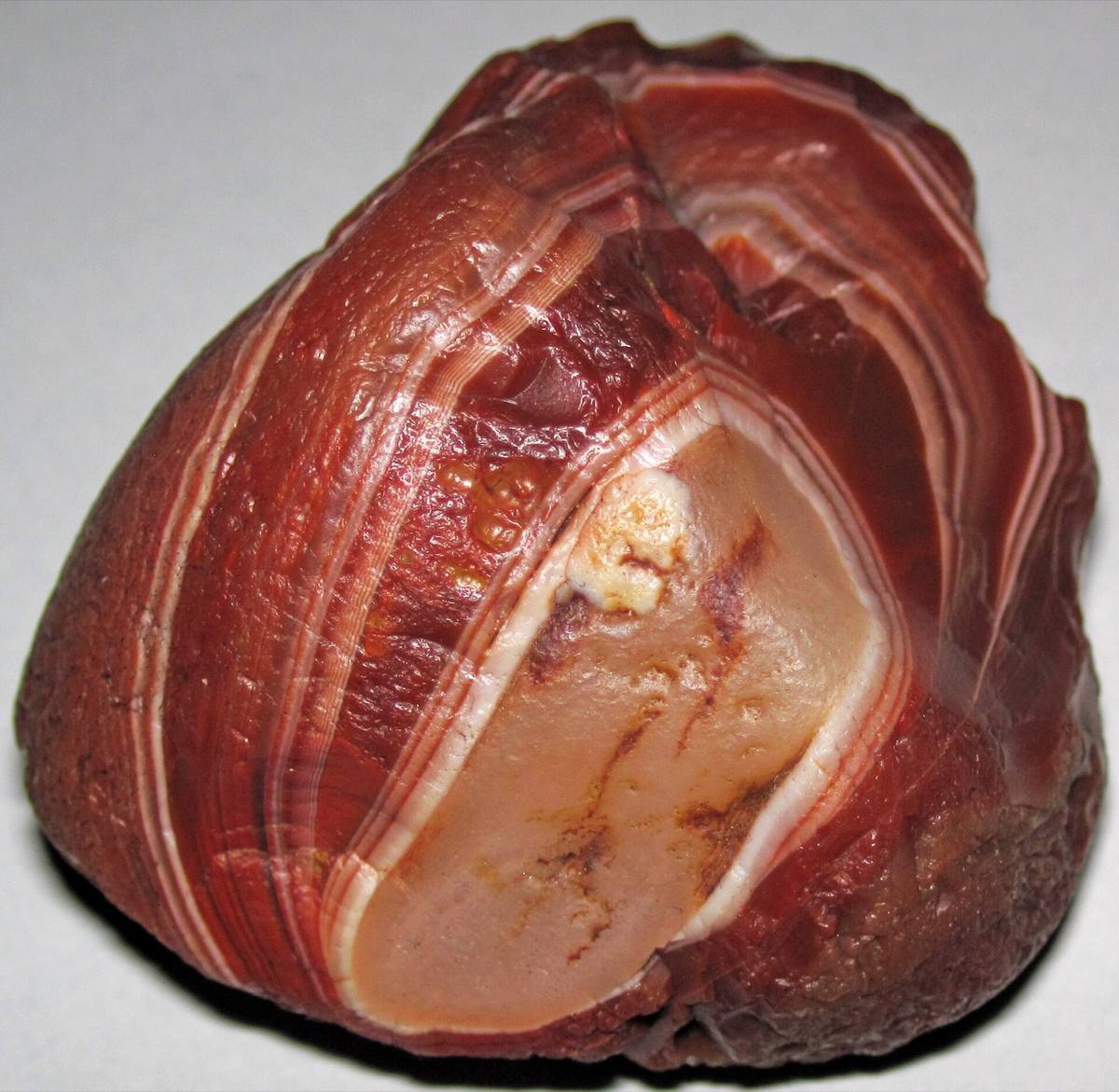 Lake Superior agate nodule with weathered rind, Keweenaw Peninsula, Michigan