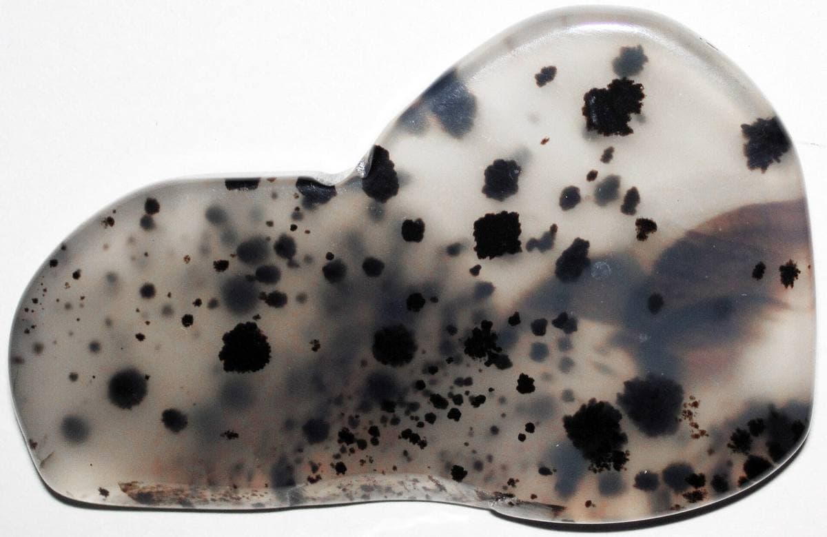 Moss agate with dendritic inclusions, Yellowstone River, Montana