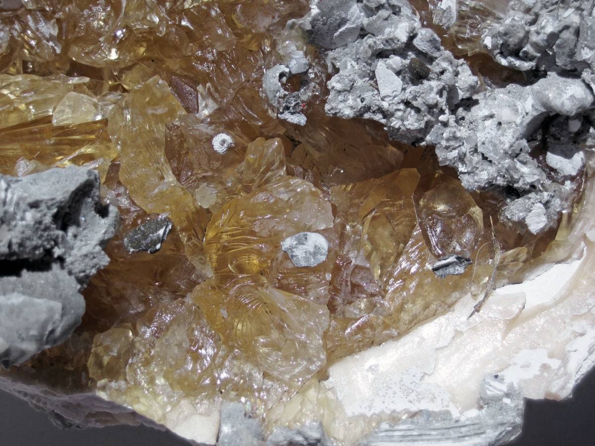 Agatized Clam gemstone