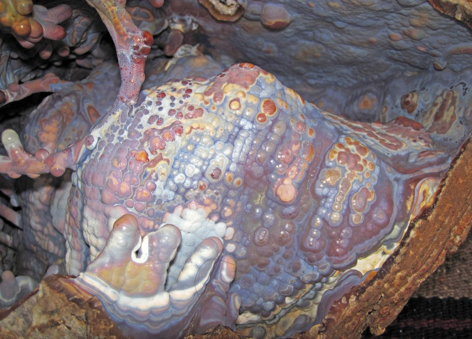 Inside of a hollow agatized coral head lined with chalcedony, Withlacoochee River, Georgia