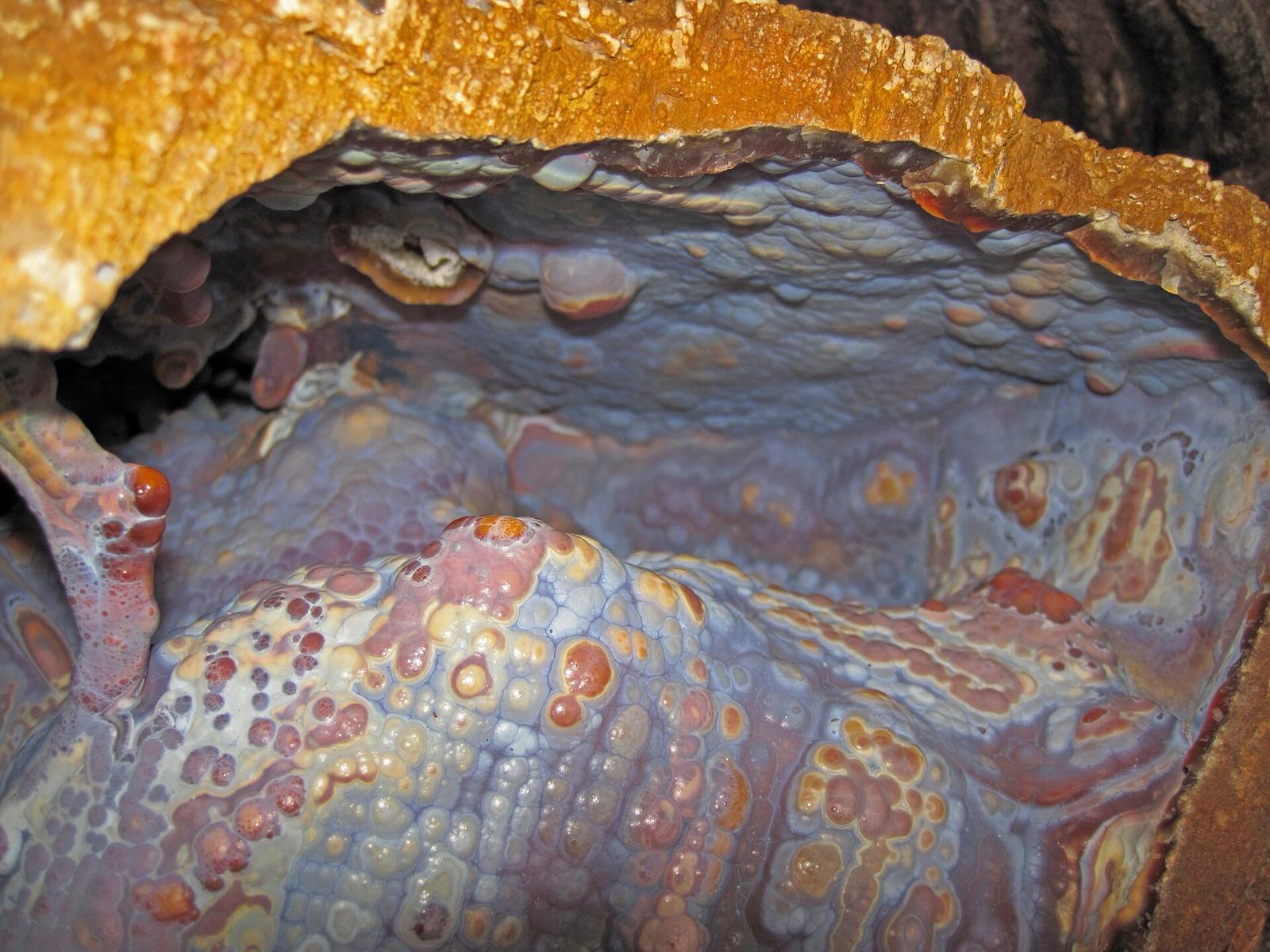 Agatized coral geode interior with botryoidal chalcedony, Withlacoochee River, Georgia