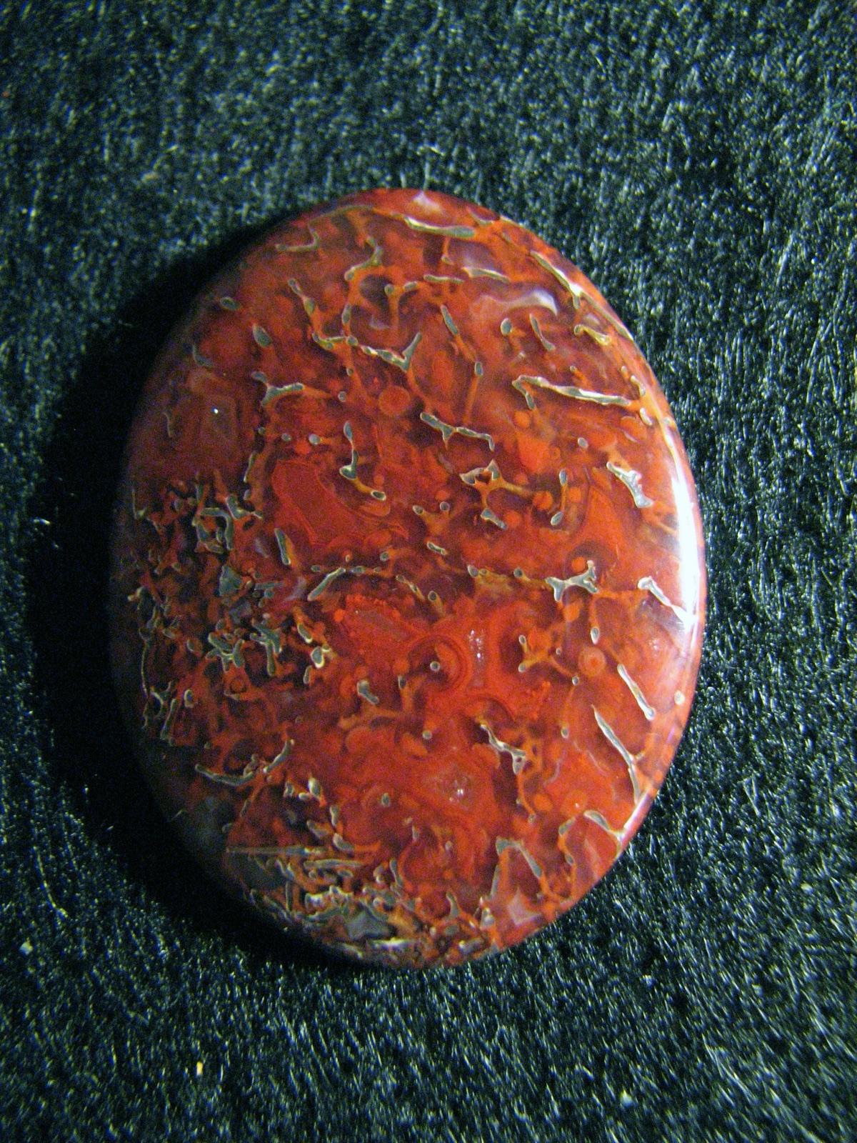 Translucent red gem bone cabochon showing bone cell structure