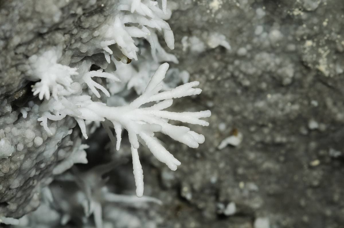 Aragonite