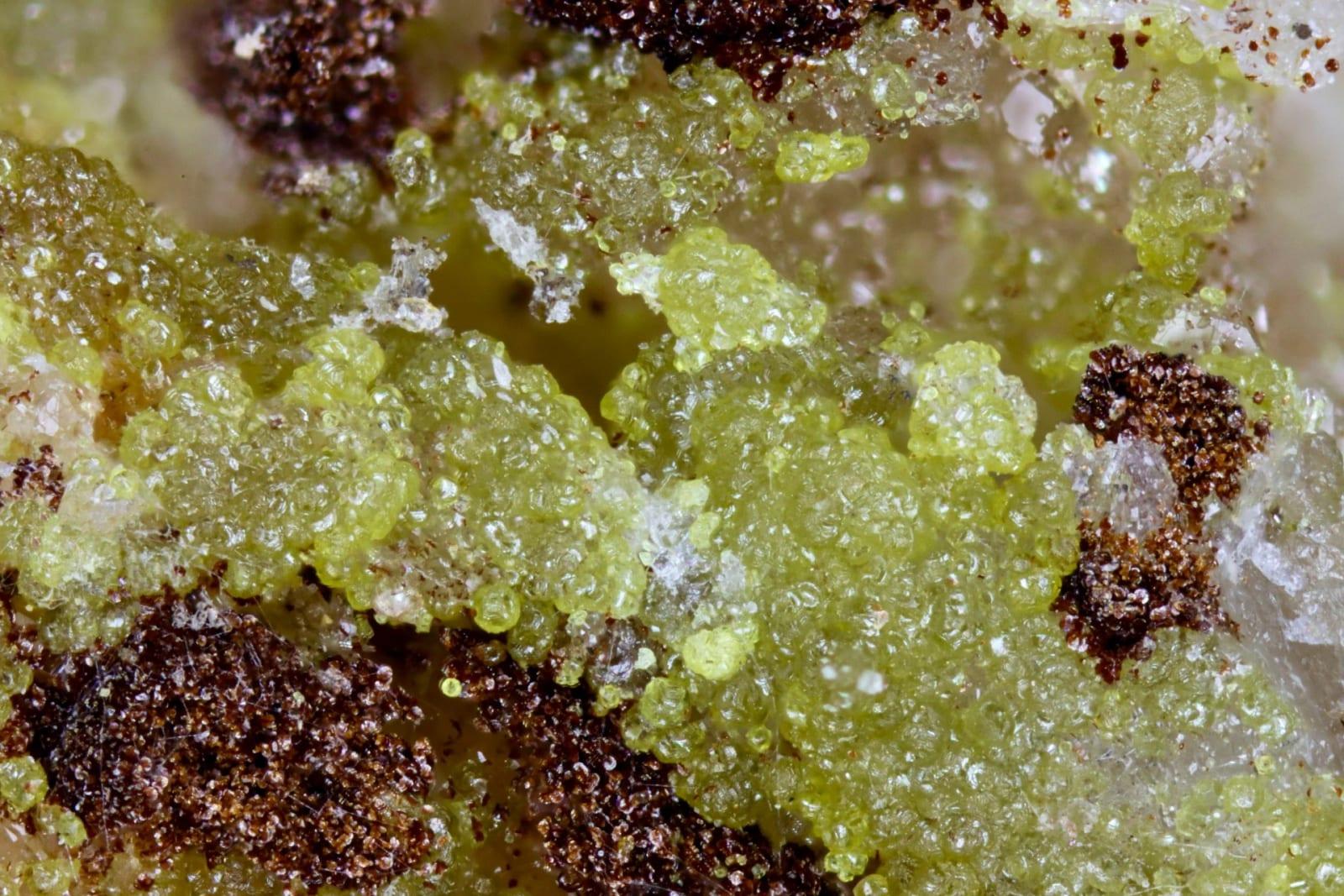 Arsenoflorencite-(Ce) mineral