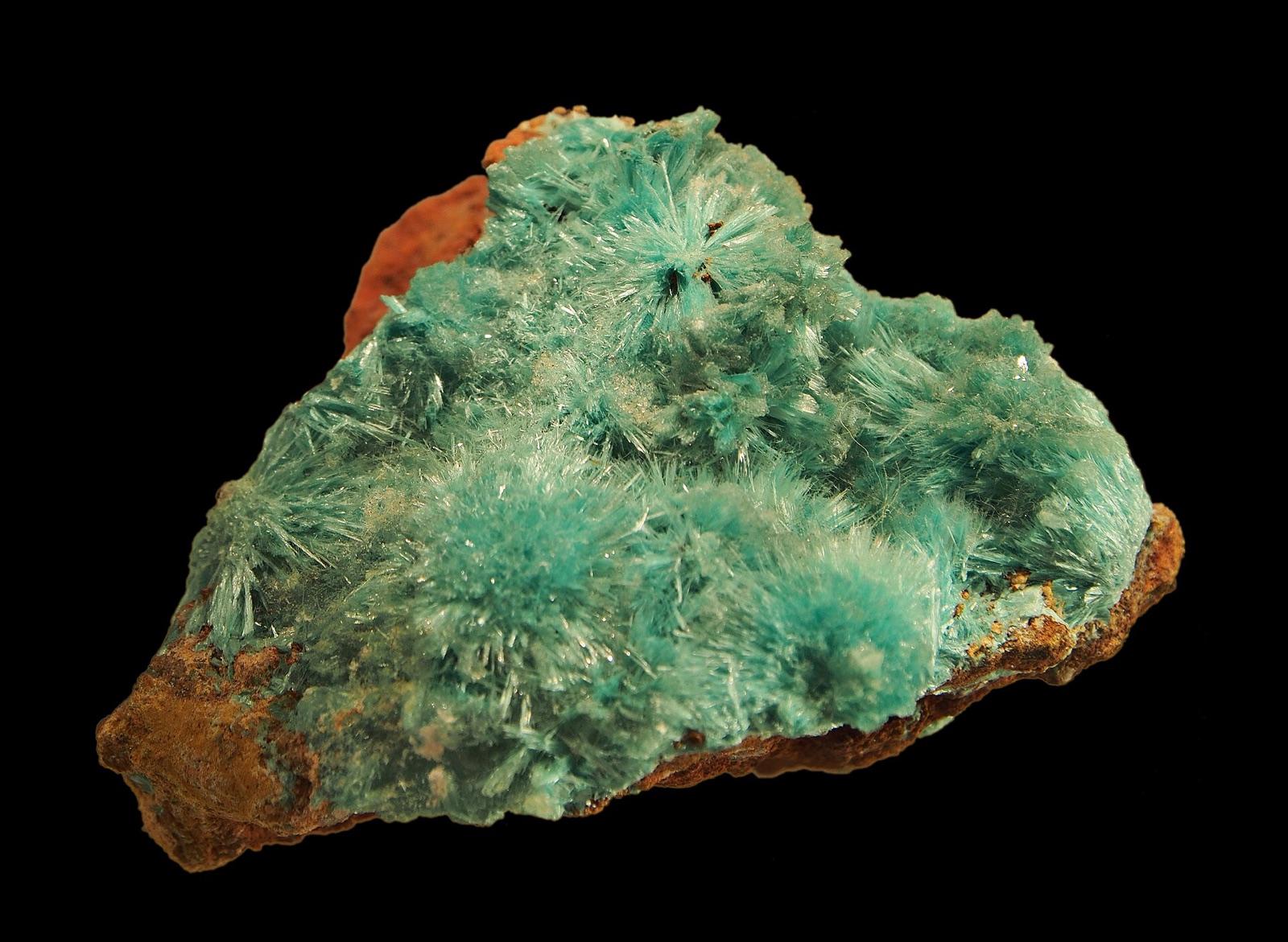 Radiating blue-green aurichalcite sprays on limonite