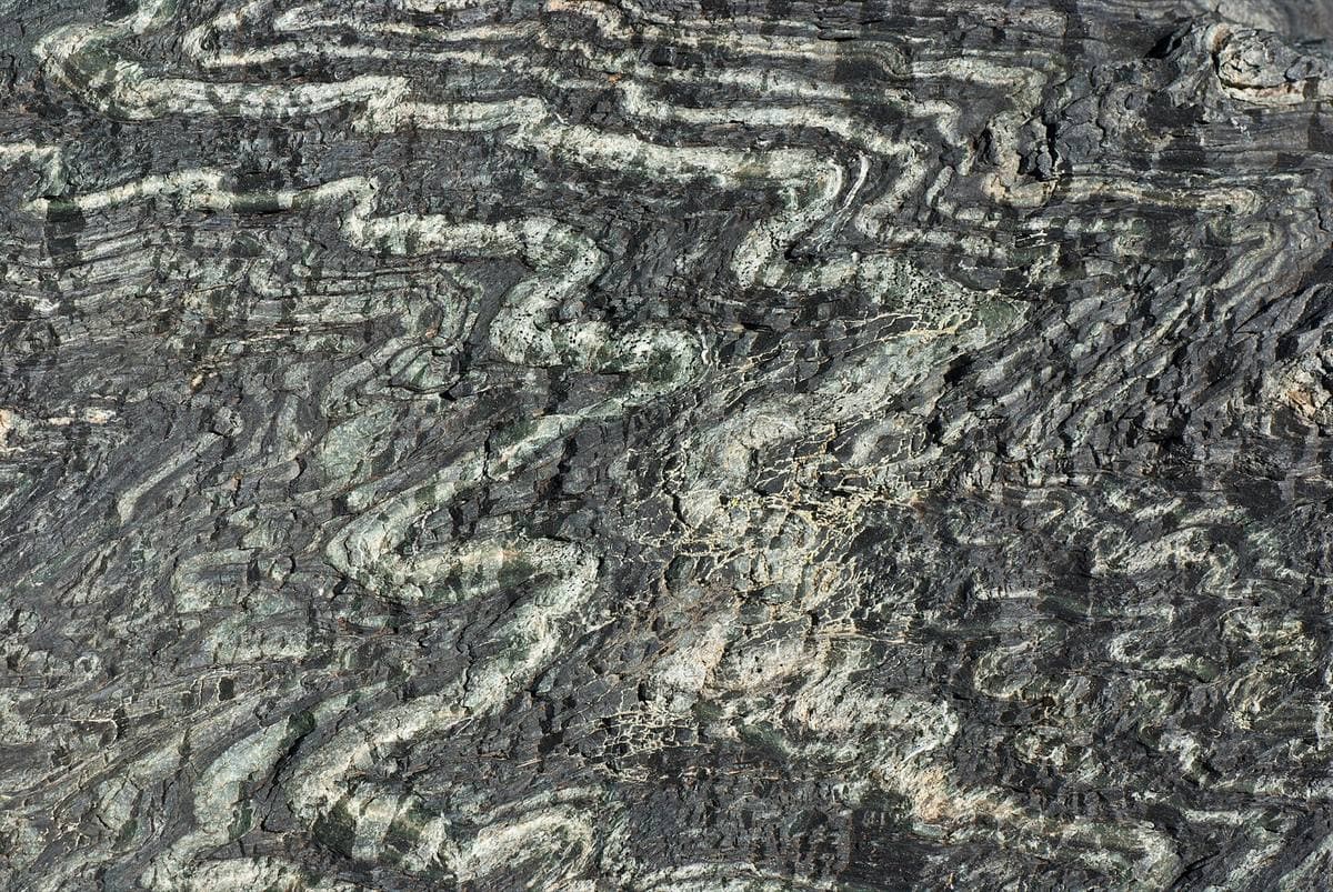 Banded Serpentine