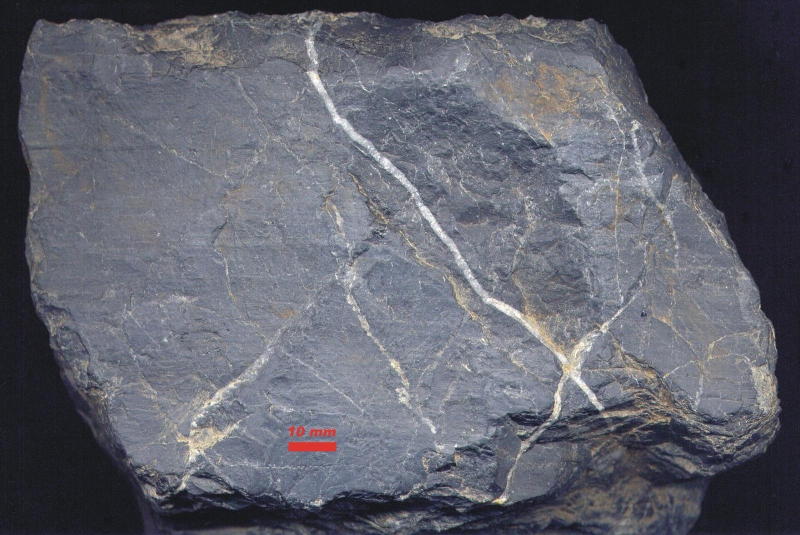 Black lydite (Lydian stone) with white quartz veins, Saxony, Germany