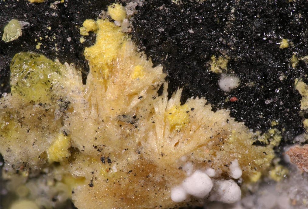 Bobcookite mineral