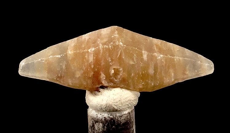 Tan-brown, doubly terminated sapphire crystal from Ratnapura, Sri Lanka