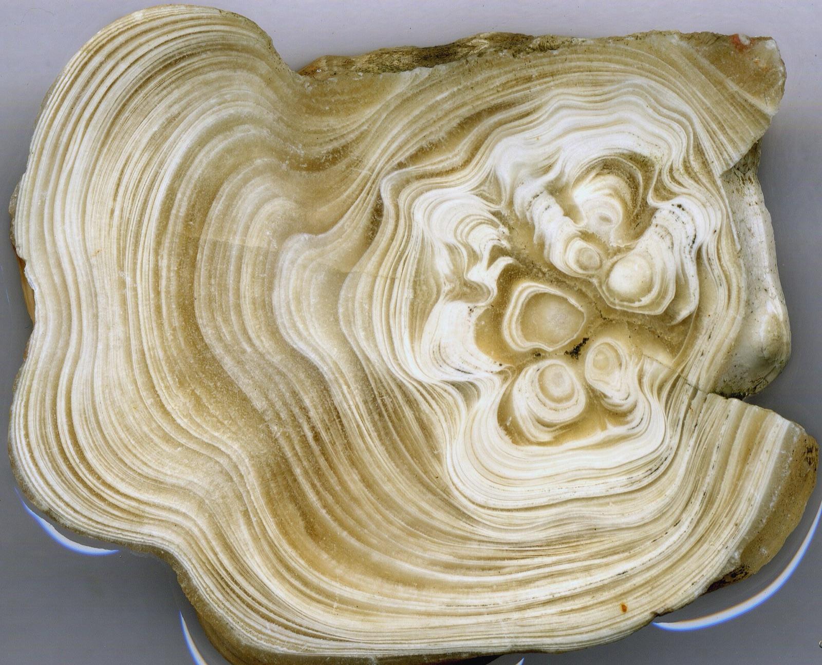 Slice of banded Kokoweef cave onyx from the Mojave Desert, California
