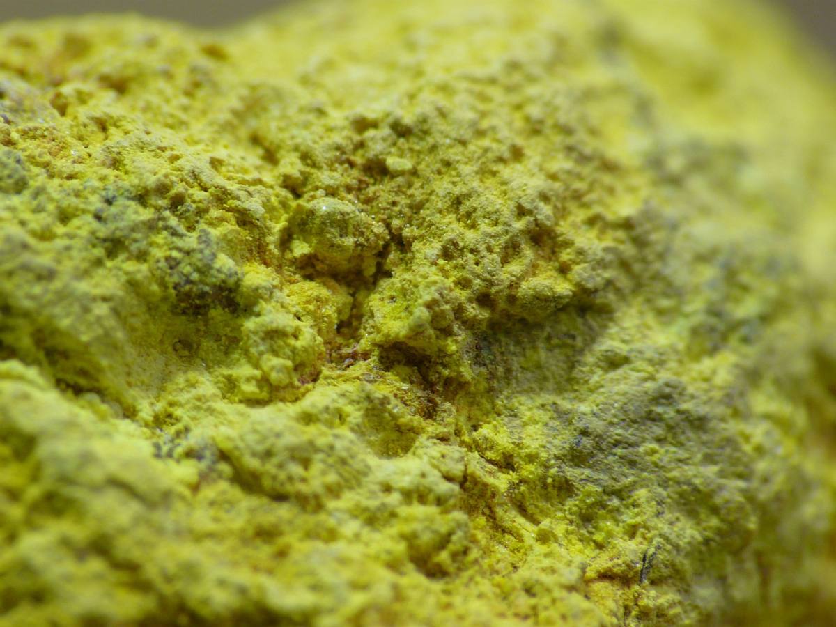 Macro of powdery yellow carnotite crust, Moab, Utah