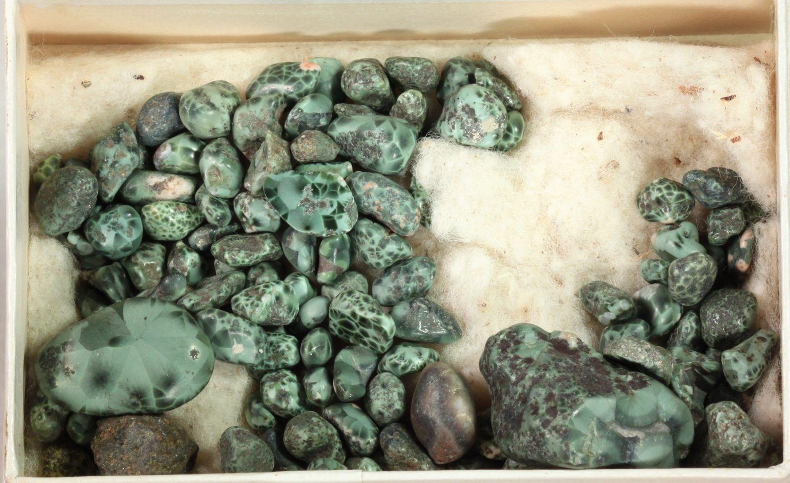 Green turtleback-patterned chlorastrolite (pumpellyite) pebbles from Isle Royale, Michigan