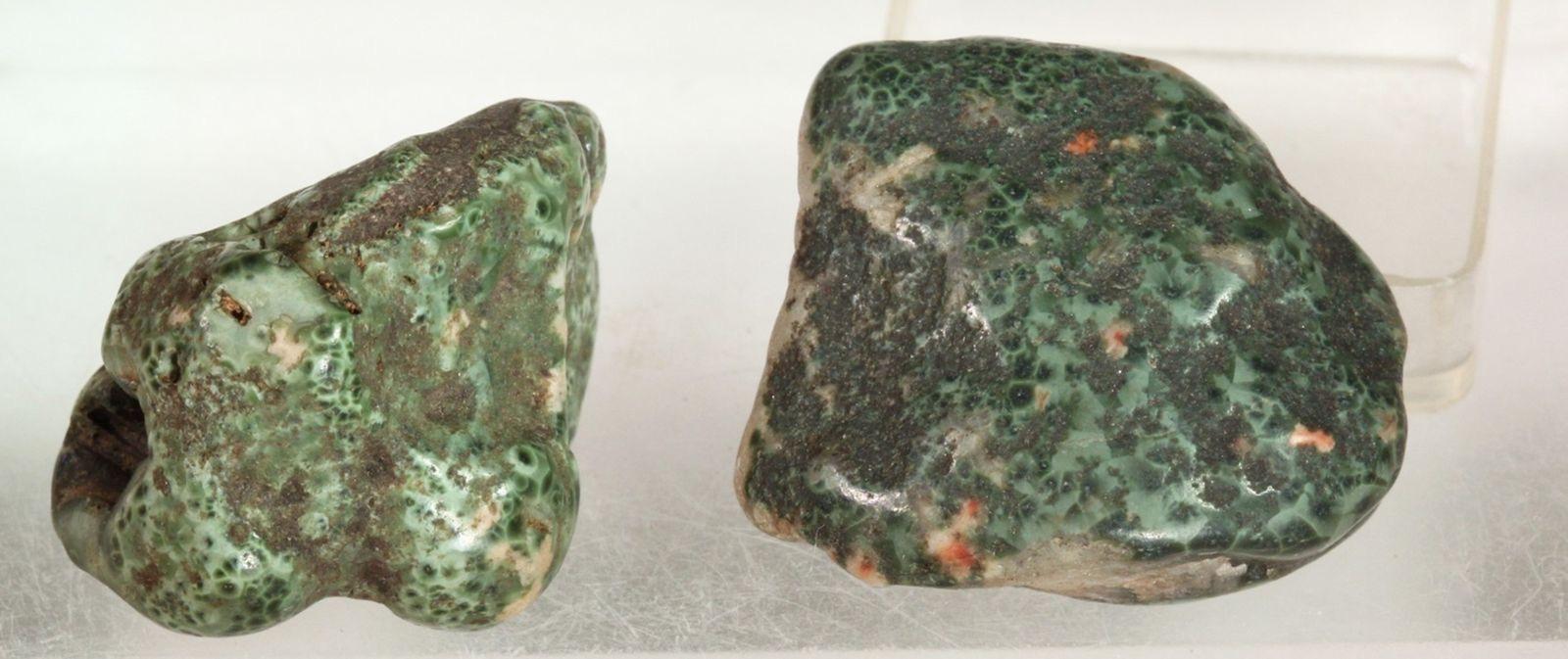 Two water-worn chlorastrolite (pumpellyite) pebbles from Isle Royale, Michigan