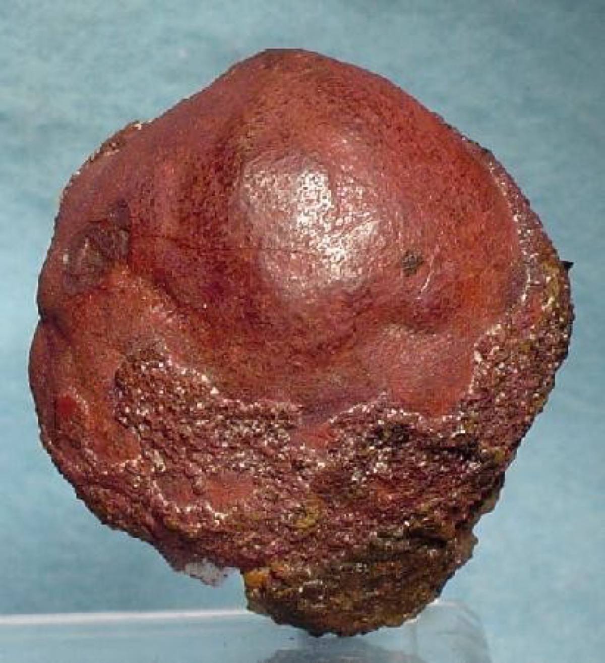 Botryoidal cinnabar, New Idria Mine, California
