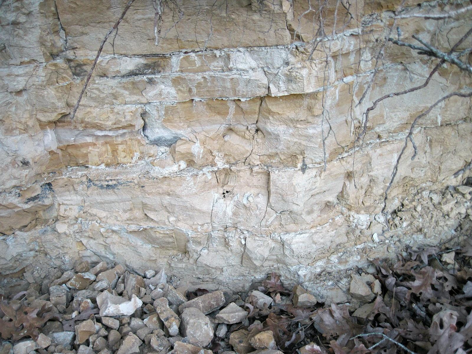 Weathered claystone beds in the Pekin Formation, Boren Clay Pit, North Carolina