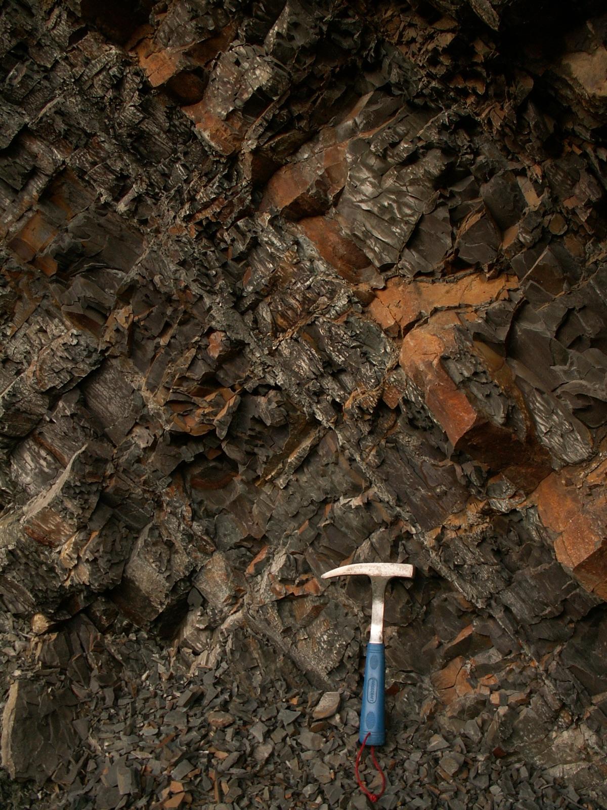 Claystone beds in turbidite flysch at a quarry near Velke Rovne, Slovakia