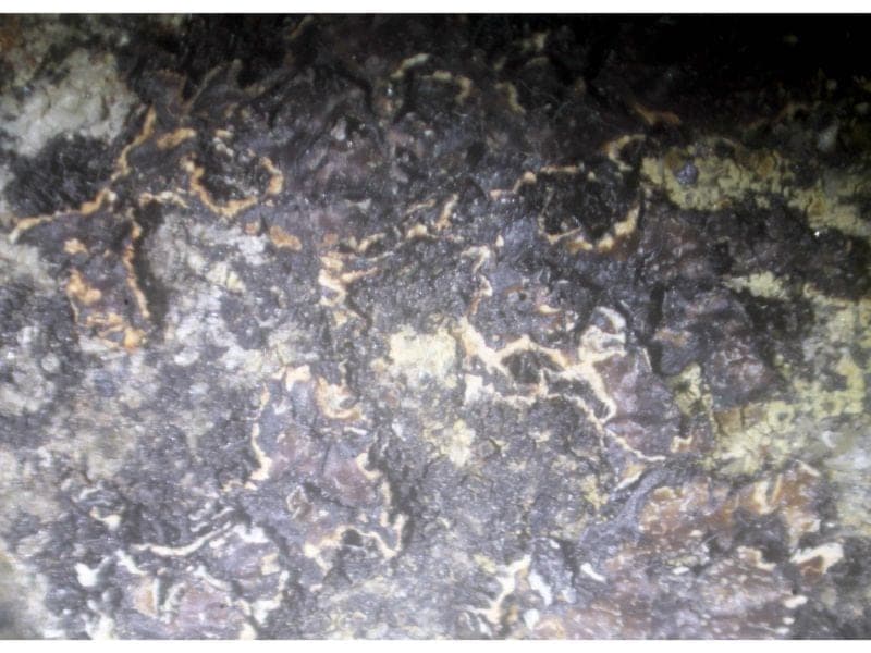 Clino-ferro-suenoite mineral