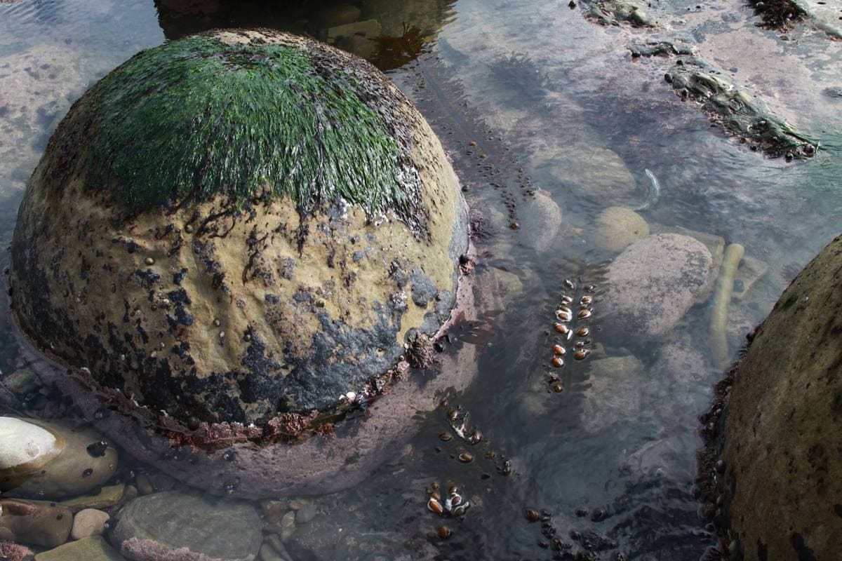 Concretion sedimentary
