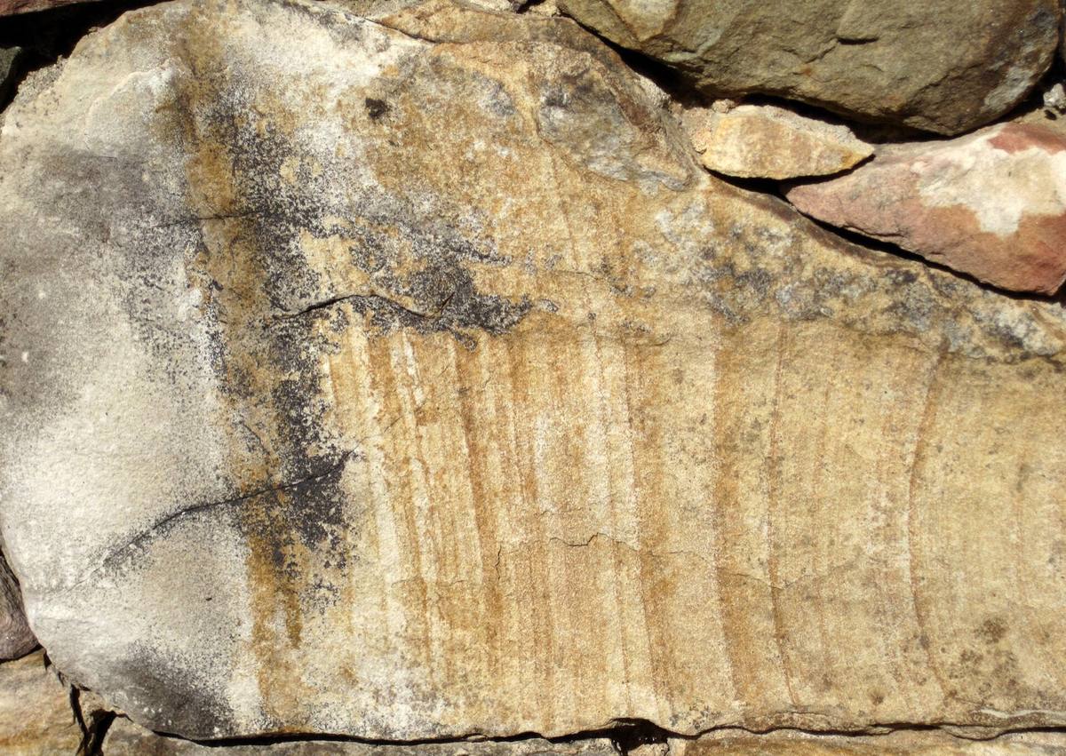 Weathered Crab Orchard sandstone face, Cumberland County, Tennessee