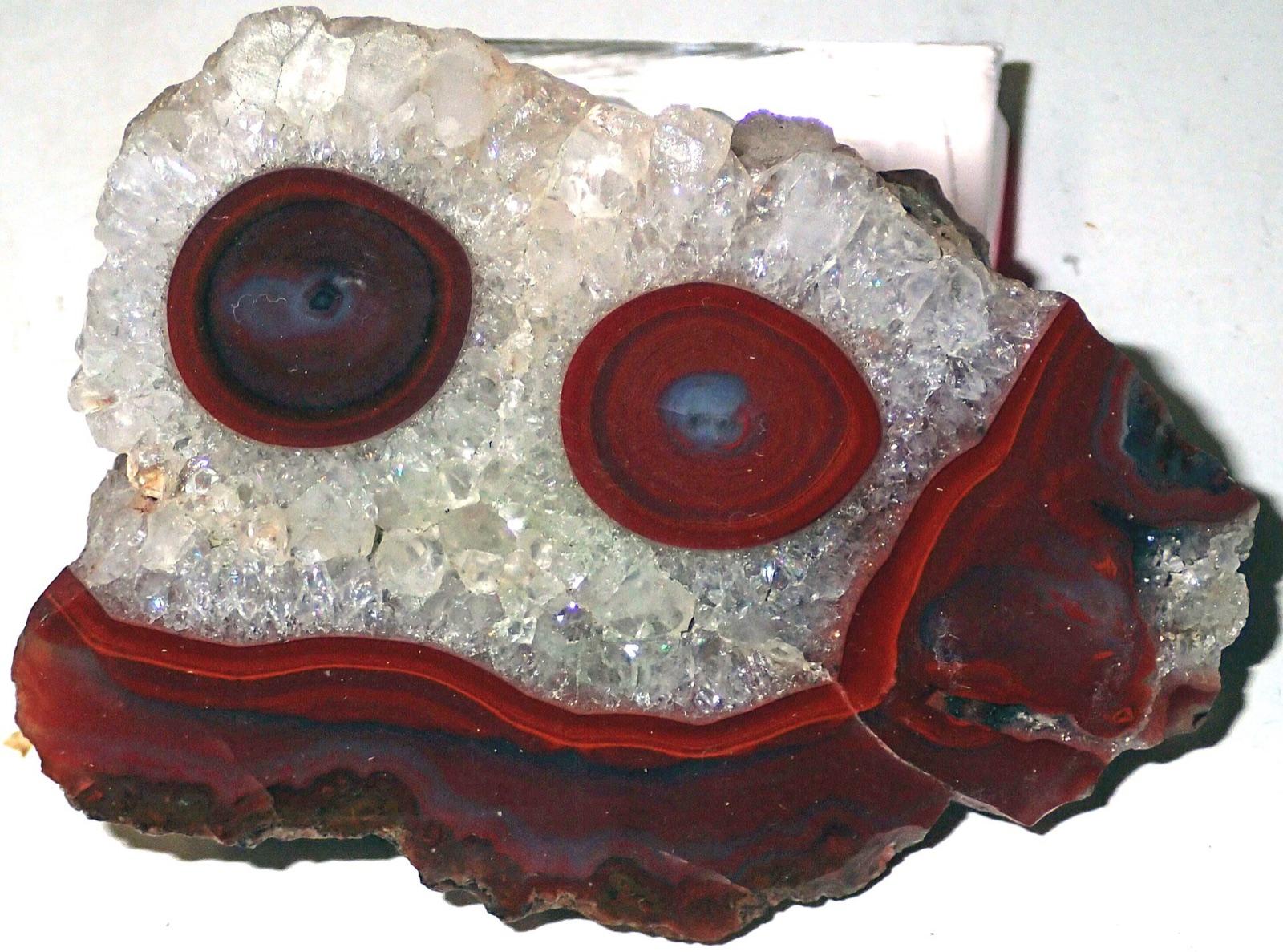 Eye agate from Texas with two red banded eyes in white quartz