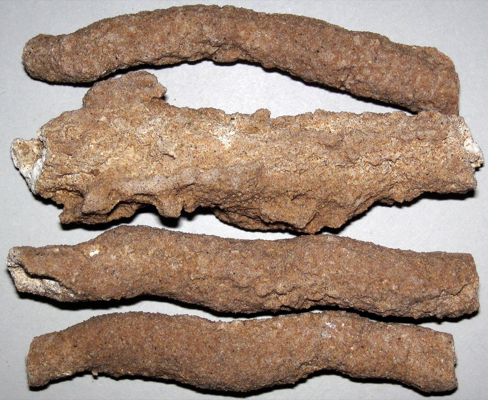 Sand fulgurite tubes from the Sahara dune field, Morocco