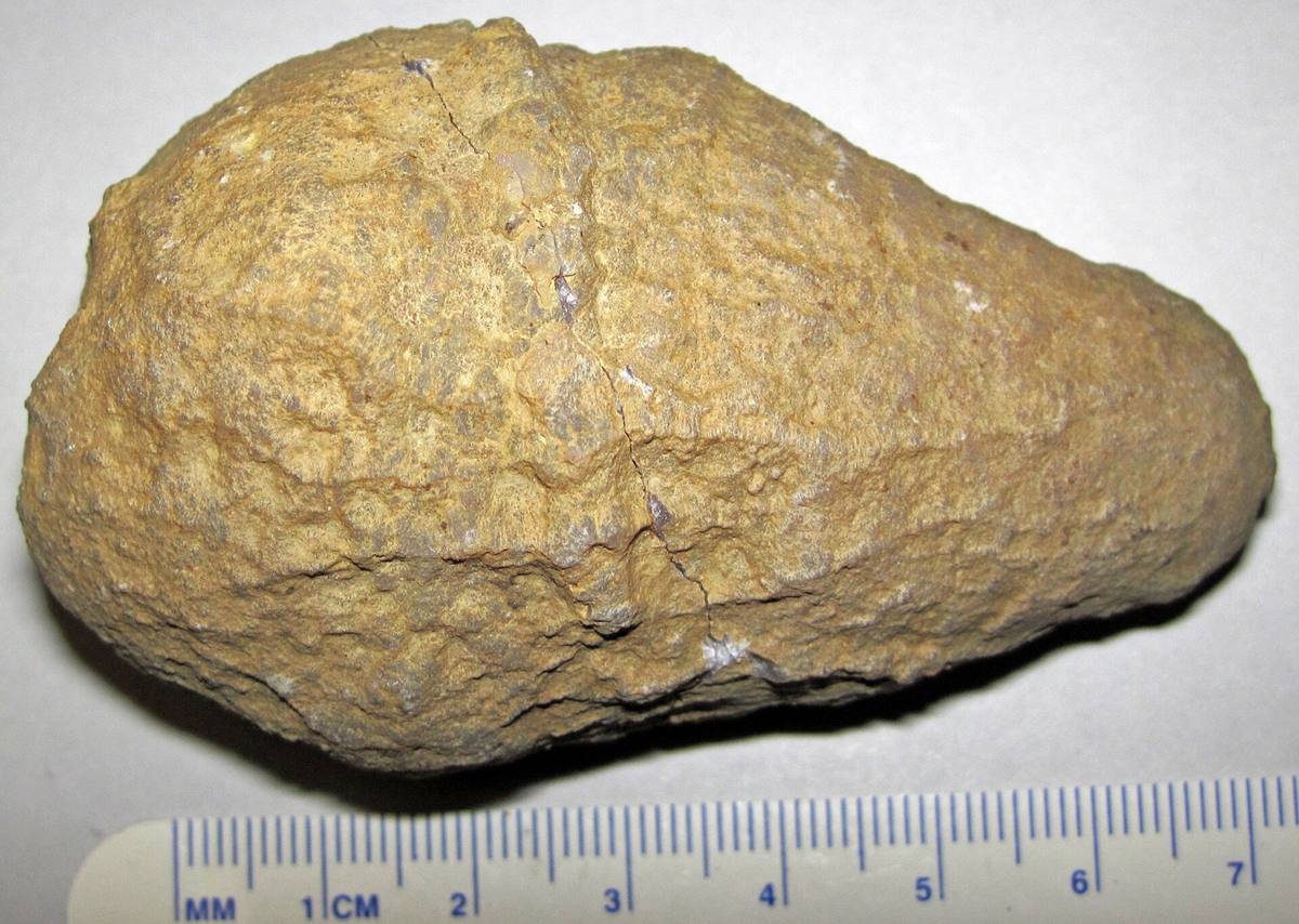 Unopened quartz geode nodule with scale, Indiana