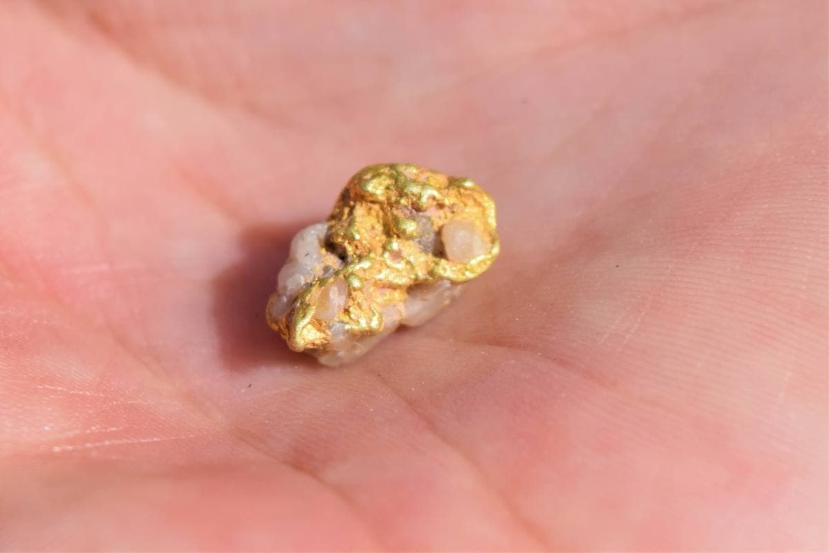 Gold Nugget